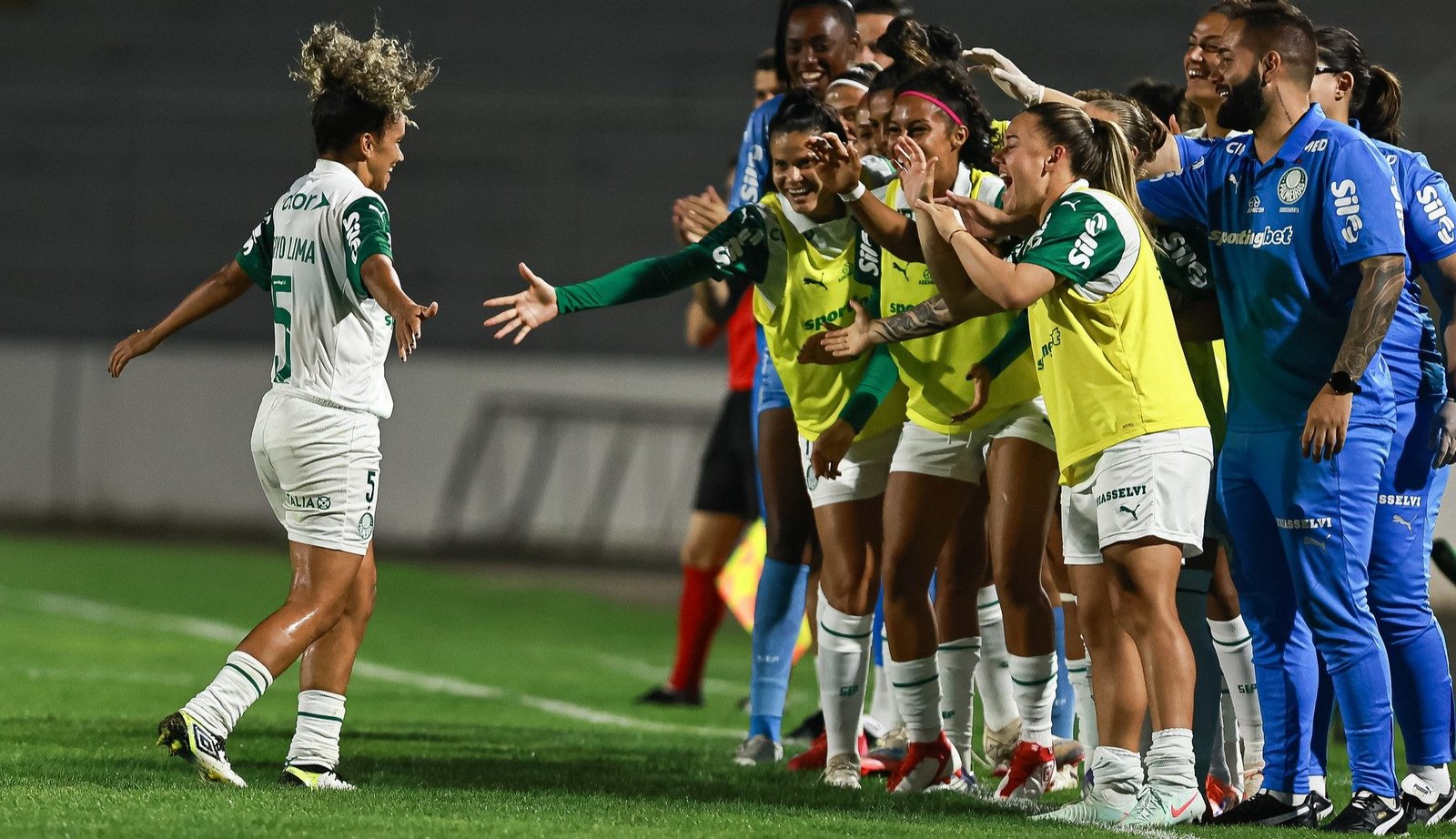 Palmeiras está na final da Copa do Brasil Feminina