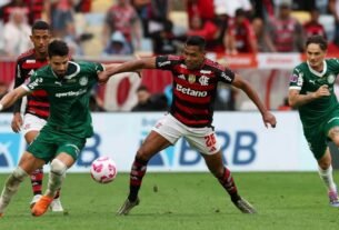 Palmeiras x Flamengo terá semiautomático