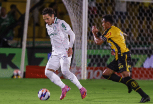 Palmeiras é atropelado pelo Novorizontino