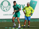 Paulinho é um dos que deixou o DM do Palmeiras