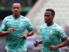 Palmeiras deve ter time misto contra o Vasco